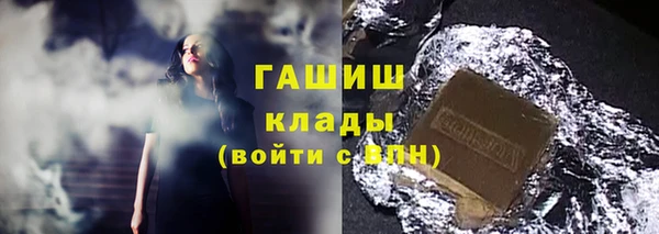 твердый Краснослободск