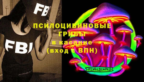 твердый Краснослободск
