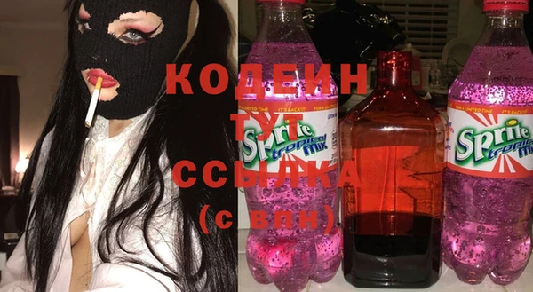 твердый Краснослободск