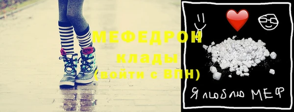 твердый Краснослободск