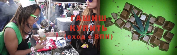 твердый Краснослободск