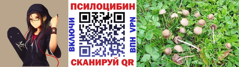 Псилоцибиновые грибы Psilocybine cubensis  сколько стоит  Межгорье 